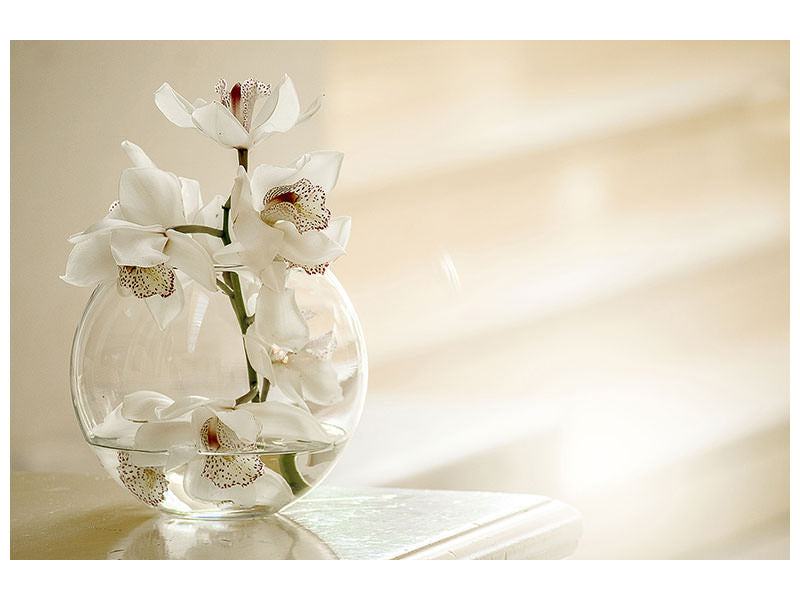 3-piece-canvas-print-orchid-in-the-glass