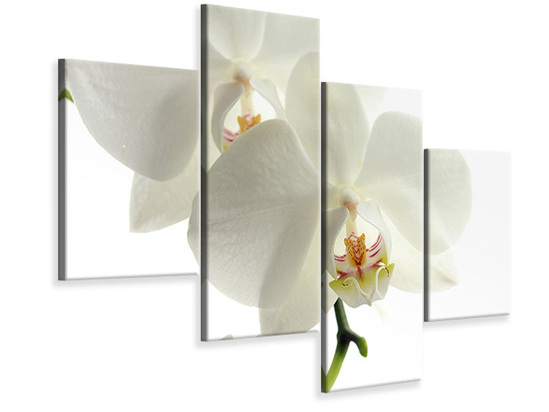5-piece-canvas-print-orchids-bloom