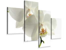 4-piece-canvas-print-orchids-bloom