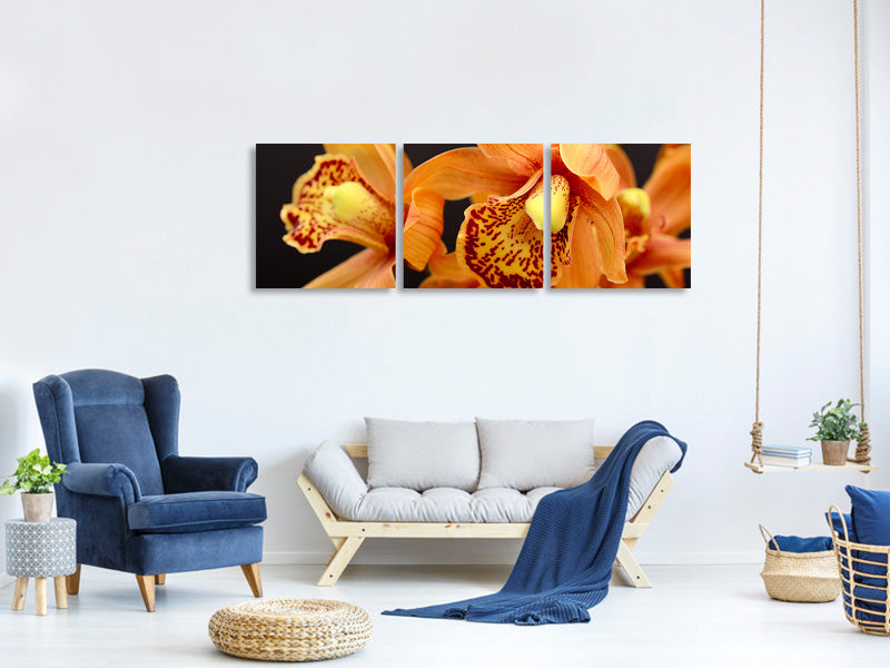 3-piece-canvas-print-orchids-with-orange-flowers