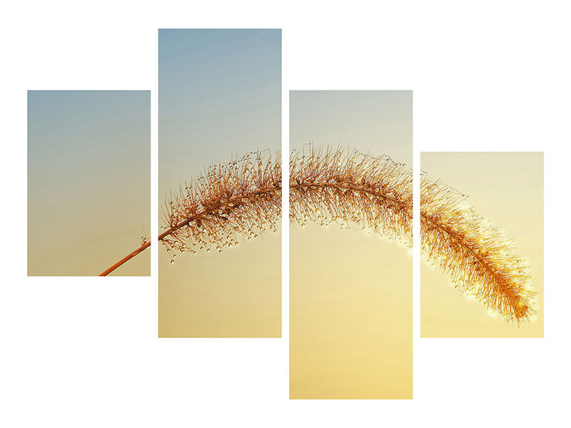 canvas-print-ornamental-grass-in-xxl