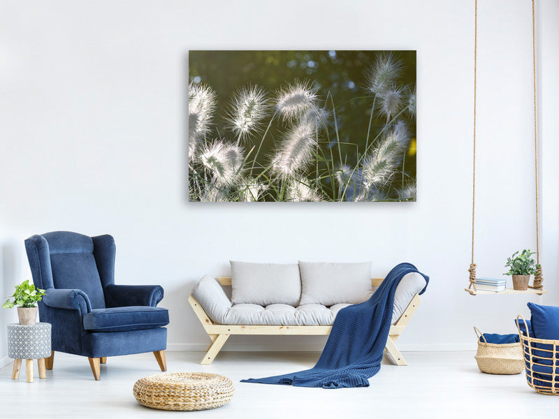 panoramic-3-piece-canvas-print-ornamental-grasses-in-xl