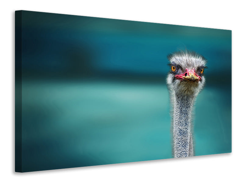 3-piece-canvas-print-blue-meets-ostrich
