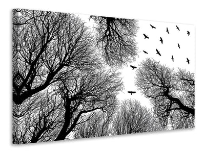 panoramic-canvas-print-out-to-the-open