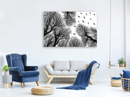 4-piece-canvas-print-out-to-the-open
