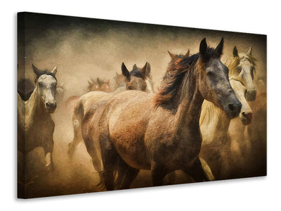 5-piece-canvas-print-painting-wild-horses