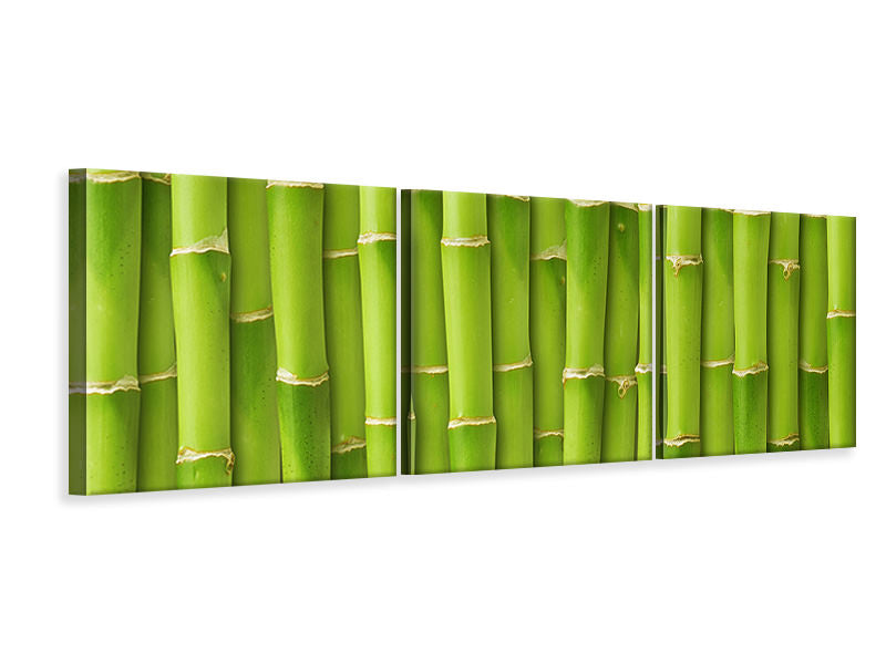 panoramic-3-piece-canvas-print-bamboo-wall