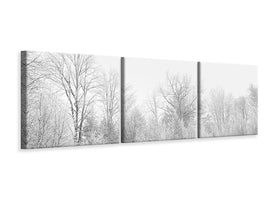 panoramic-3-piece-canvas-print-birches-in-the-snow