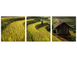 panoramic-3-piece-canvas-print-keep-walking