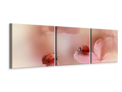 panoramic-3-piece-canvas-print-ladybirds-on-pink-hydrangea