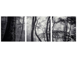 panoramic-3-piece-canvas-print-mysterious-light