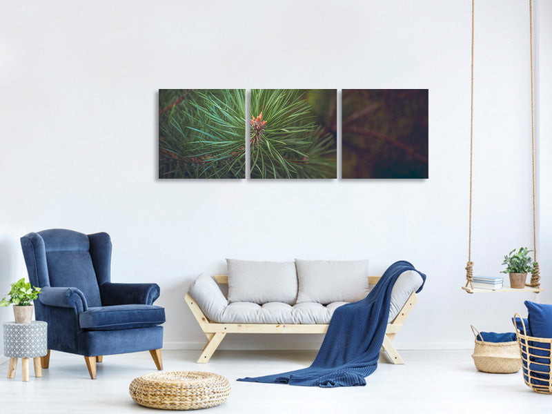 panoramic-3-piece-canvas-print-pine-tree-close-up