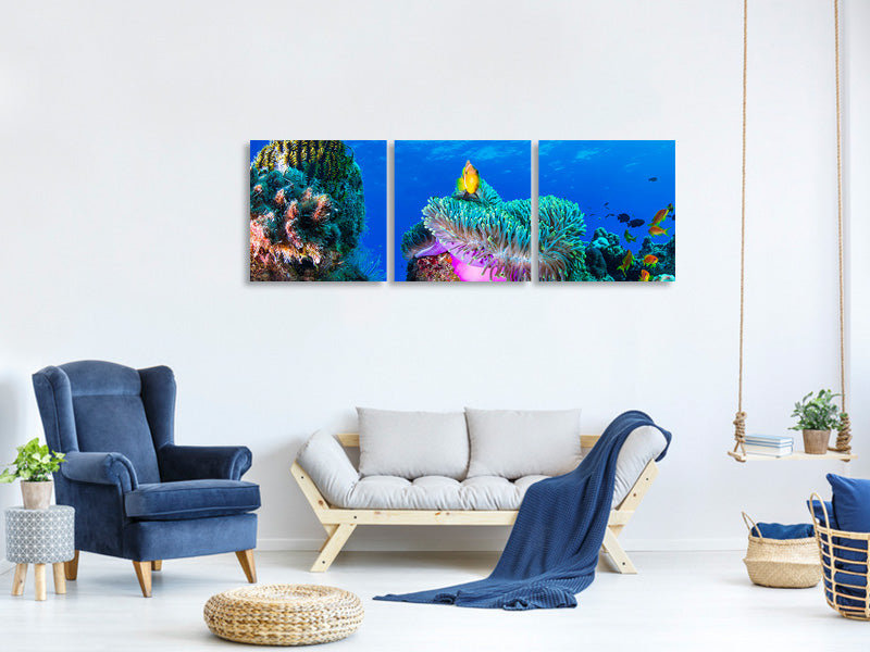 panoramic-3-piece-canvas-print-sea-life