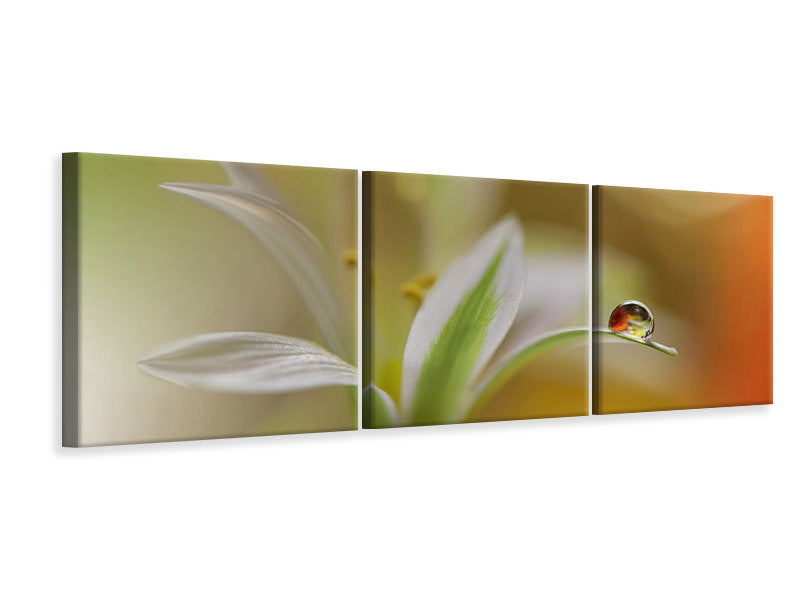 panoramic-3-piece-canvas-print-sound-of-colors