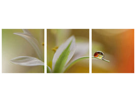 panoramic-3-piece-canvas-print-sound-of-colors