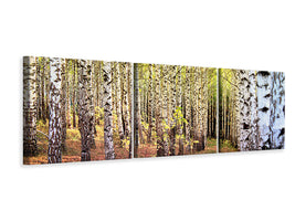 panoramic-3-piece-canvas-print-the-path-between-birches