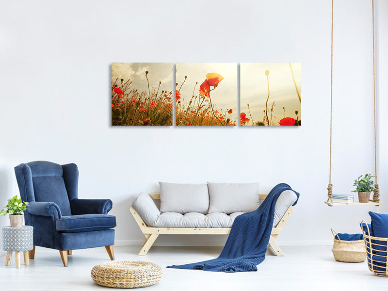 panoramic-3-piece-canvas-print-the-poppy-field-at-sunrise
