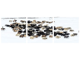 panoramic-3-piece-canvas-print-yaks-in-snow