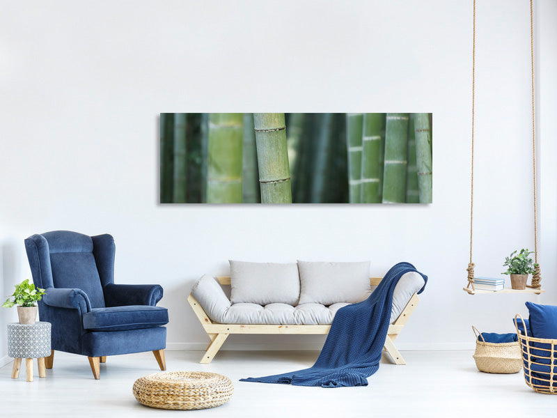 panoramic-canvas-print-bamboo-in-xxl