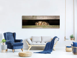 panoramic-canvas-print-cat-in-hiding