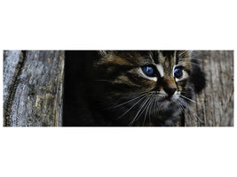 panoramic-canvas-print-cats-child