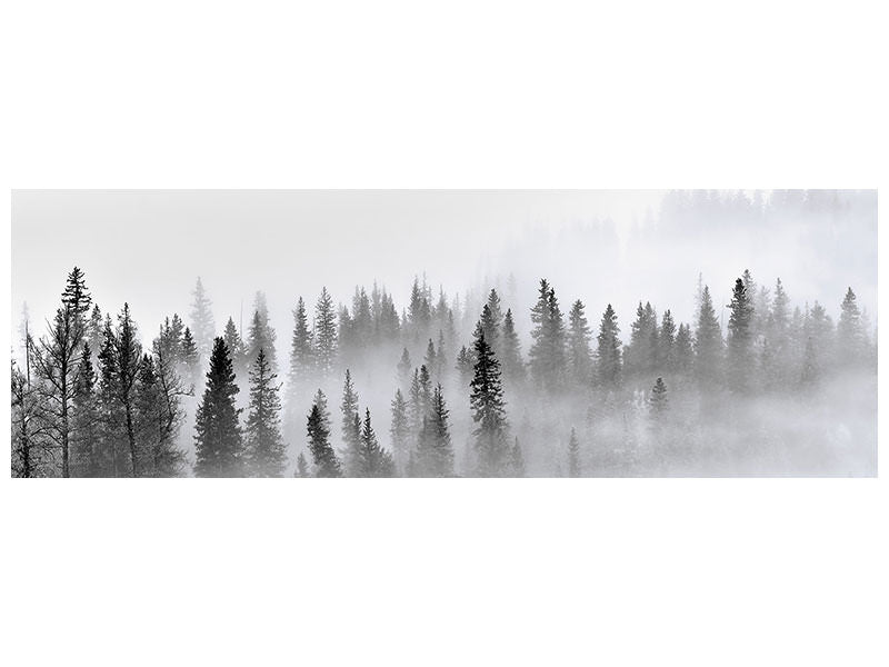 panoramic-canvas-print-foggy-forest