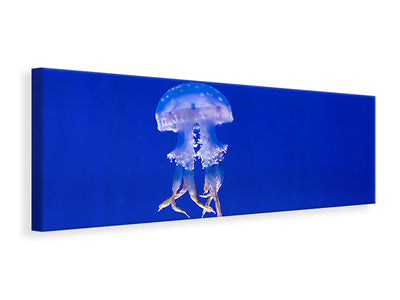 panoramic-canvas-print-glowing-jellyfish