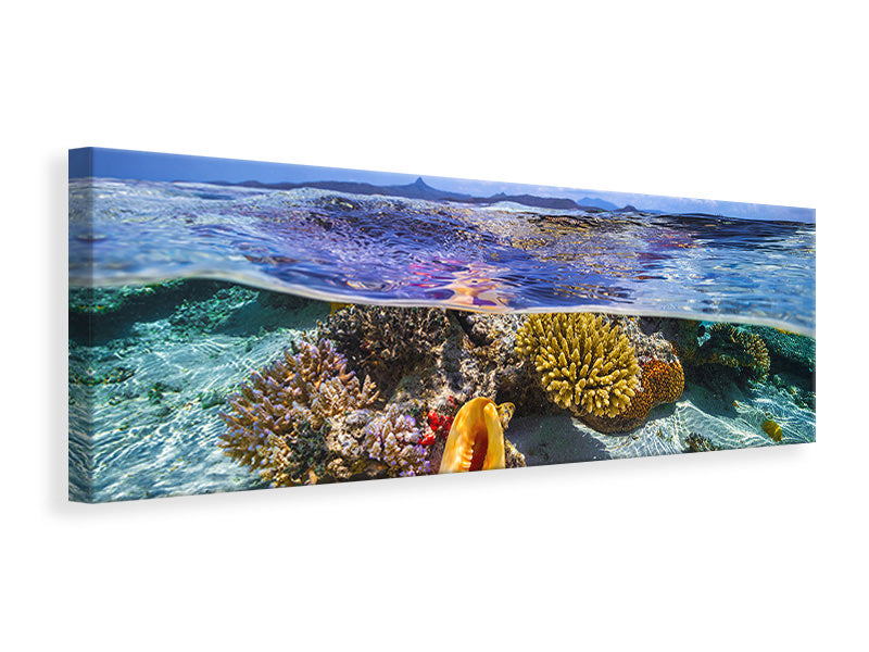 panoramic-canvas-print-lagoon-life