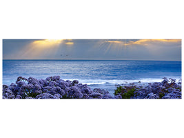 panoramic-canvas-print-lavender-and-sea