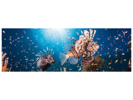 panoramic-canvas-print-lionfish-ii