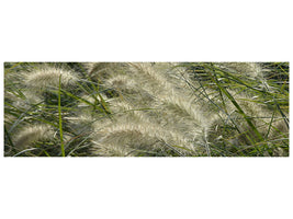 panoramic-canvas-print-ornamental-grass-in-the-wind