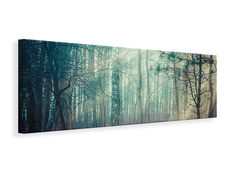 panoramic-canvas-print-pinewood