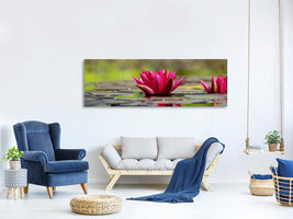 panoramic-canvas-print-red-water-lily-duo