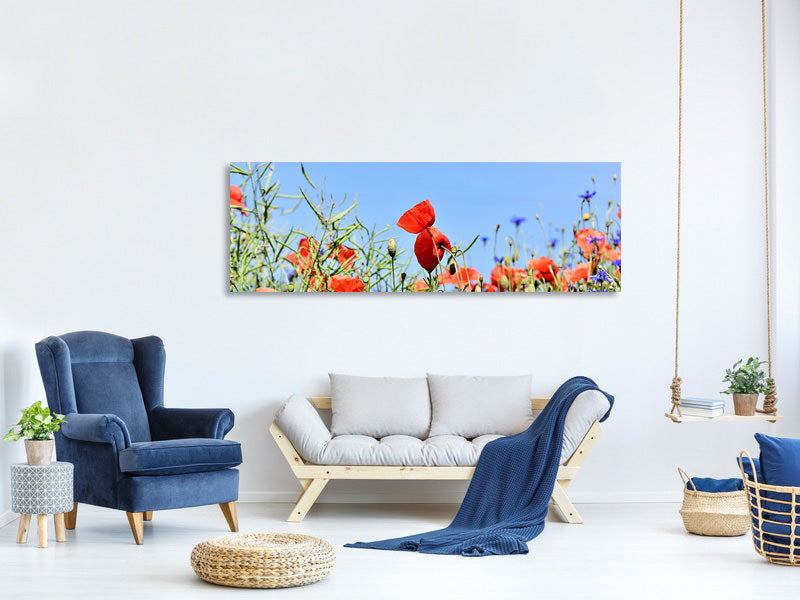 panoramic-canvas-print-the-poppy-in-the-flower-meadow