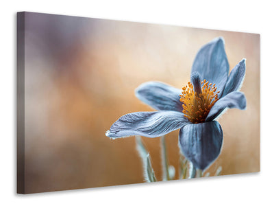 3-piece-canvas-print-pasque