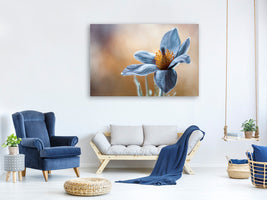 4-piece-canvas-print-pasque
