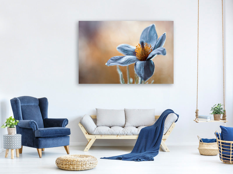 4-piece-canvas-print-pasque