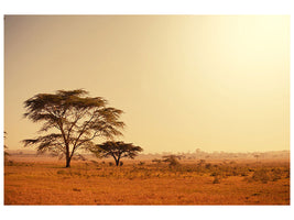modern-4-piece-canvas-print-pastures-in-kenya