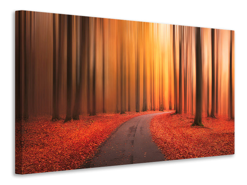 panoramic-canvas-print-path-to-unknown