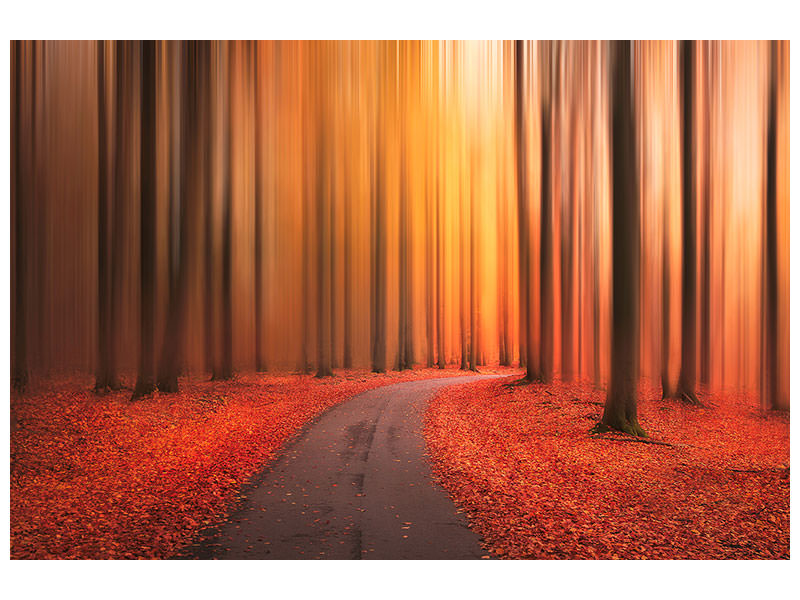 modern-3-piece-canvas-print-path-to-unknown