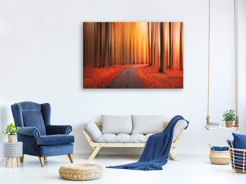 panoramic-canvas-print-path-to-unknown