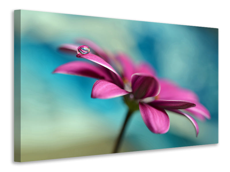 5-piece-canvas-print-pattern-drop