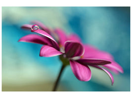 panoramic-canvas-print-pattern-drop