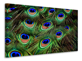 panoramic-3-piece-canvas-print-peacock-feathers-xxl