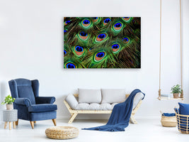 panoramic-3-piece-canvas-print-peacock-feathers-xxl