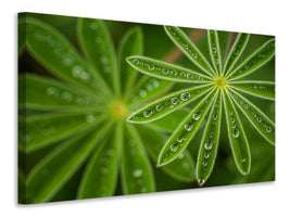 panoramic-3-piece-canvas-print-pearly-lupine