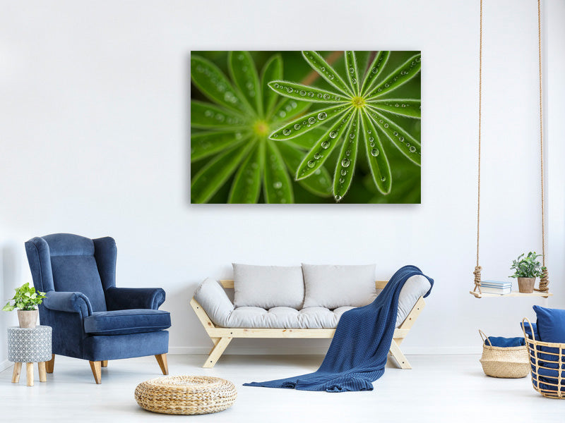 panoramic-3-piece-canvas-print-pearly-lupine