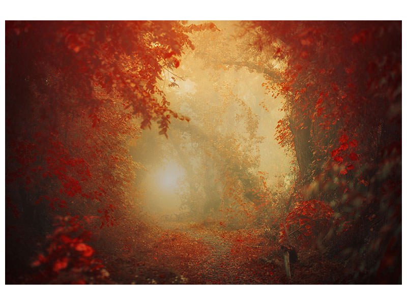 panoramic-3-piece-canvas-print-personal-journey
