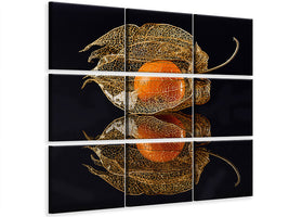 canvas-print-physalis