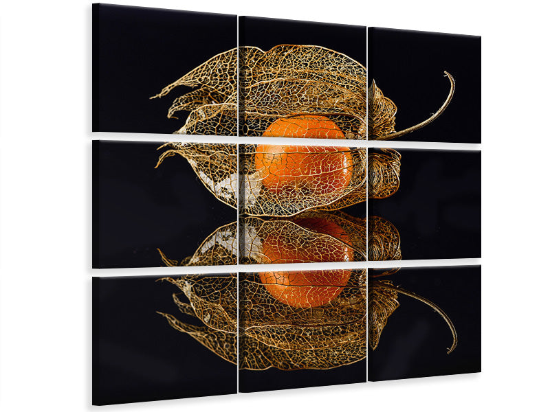 canvas-print-physalis